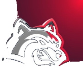 BetFury logo